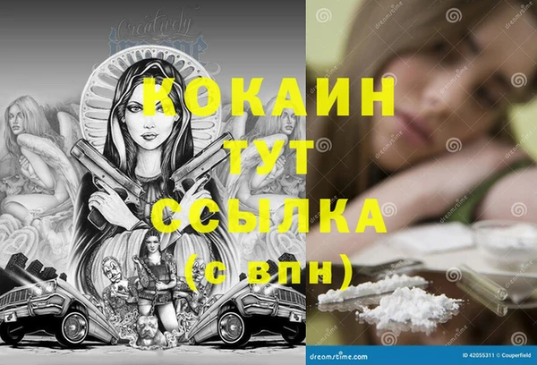 мет Бородино