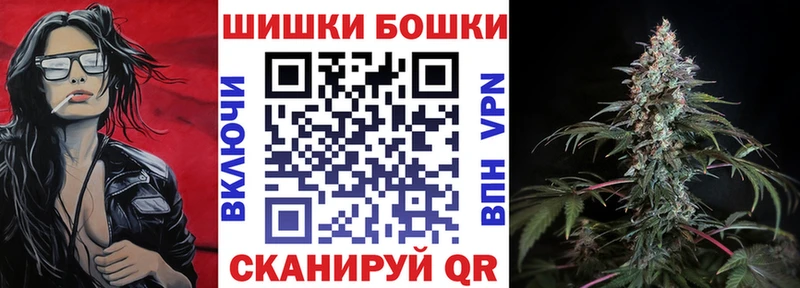 Бошки Шишки планчик Надым
